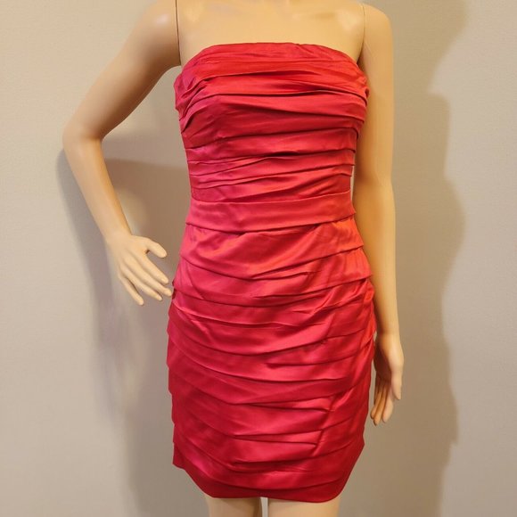 Express Ruched Dress 0 - Picture 5 of 5